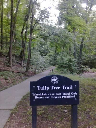 Tulip Trail