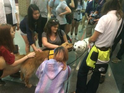 生徒が犬を囲む